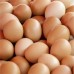The price of red eggs today